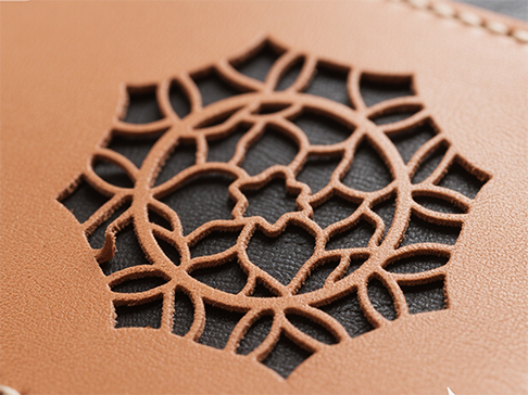 Pengawal laser visual dan pengawal laser bukan visual.